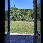 Bacciana Vila *